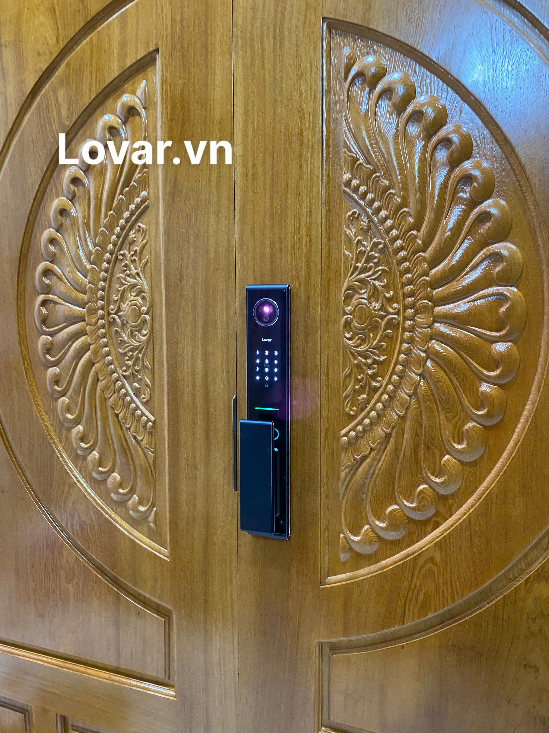 z6911554493490_5d27e1878da216cf9b499f29f0c8dfe1